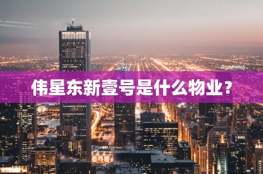 伟星东新壹号是什么物业？