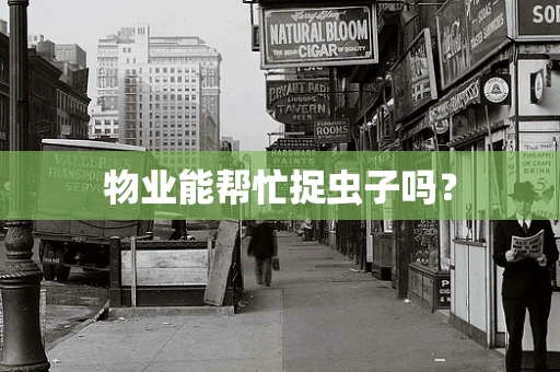 物业能帮忙捉虫子吗？