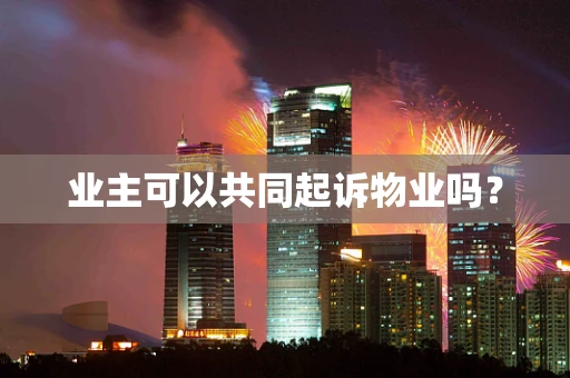 业主可以共同起诉物业吗？