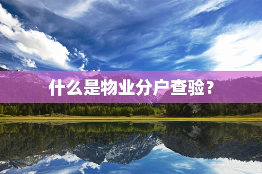 什么是物业分户查验？