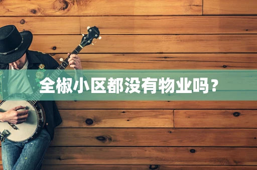 全椒小区都没有物业吗？
