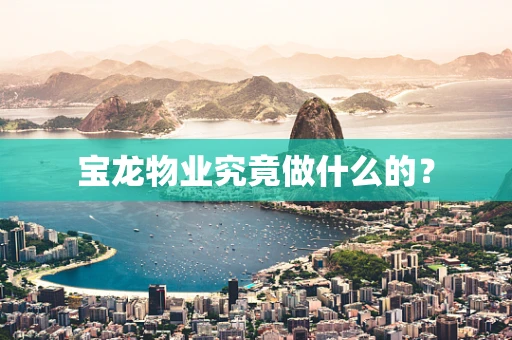 宝龙物业究竟做什么的？