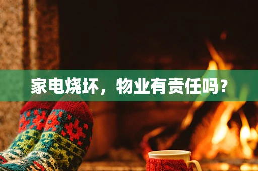 家电烧坏，物业有责任吗？