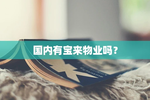 国内有宝来物业吗？