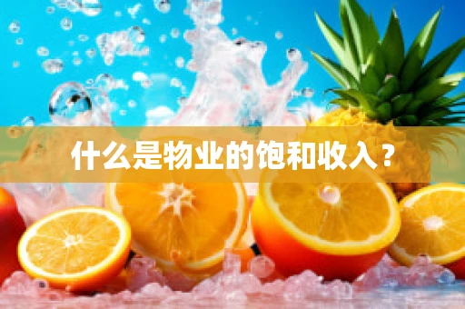 什么是物业的饱和收入？