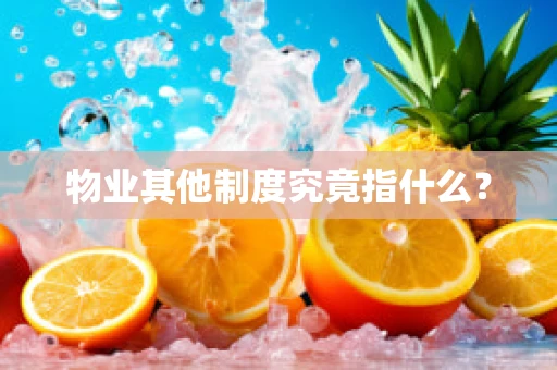 物业其他制度究竟指什么？