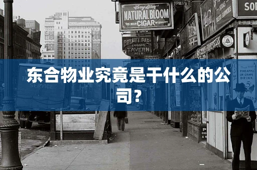 东合物业究竟是干什么的公司？