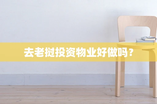 去老挝投资物业好做吗？