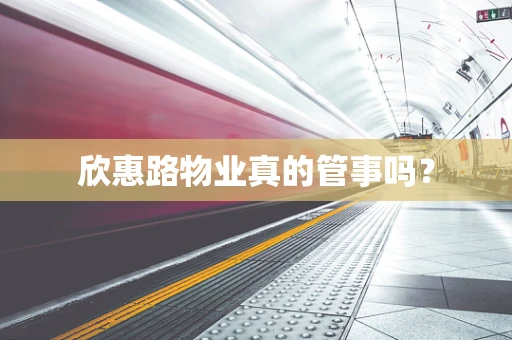 欣惠路物业真的管事吗？