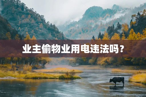 业主偷物业用电违法吗？