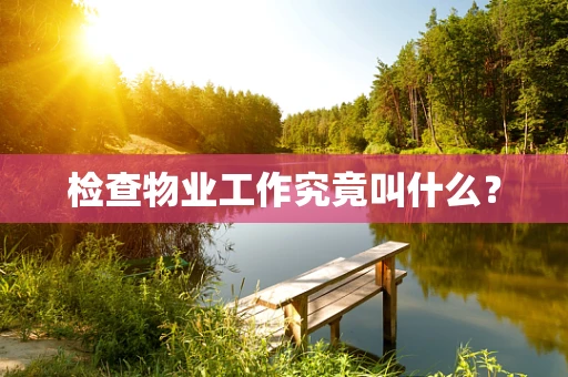 检查物业工作究竟叫什么？