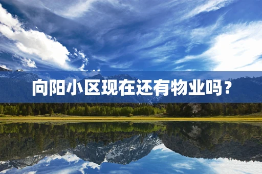 向阳小区现在还有物业吗？