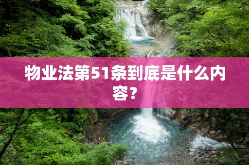 物业法第51条到底是什么内容？