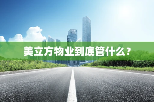 美立方物业到底管什么？