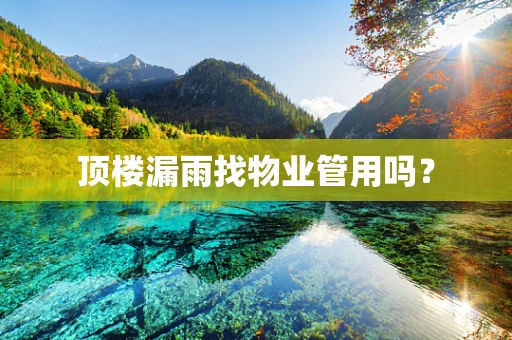 顶楼漏雨找物业管用吗？