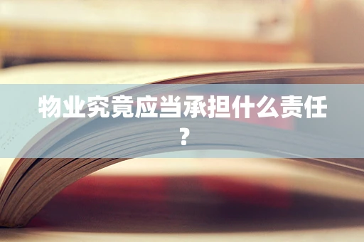 物业究竟应当承担什么责任？