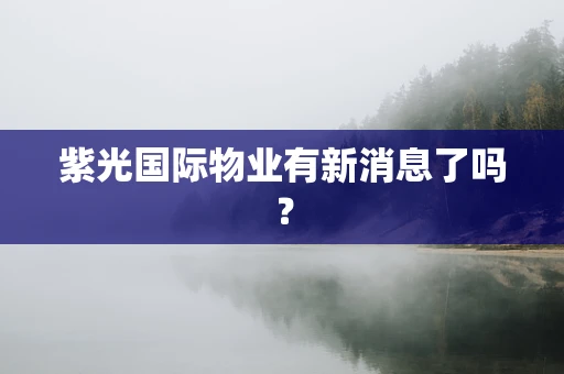 紫光国际物业有新消息了吗？
