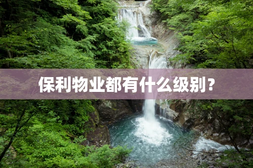 保利物业都有什么级别？