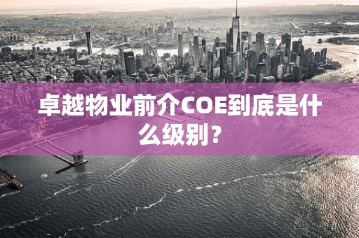 卓越物业前介COE到底是什么级别？