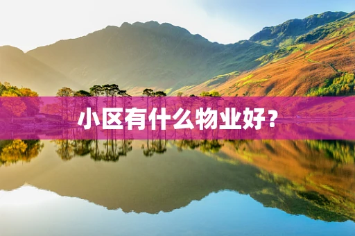 小区有什么物业好？