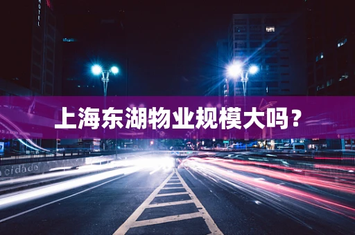 上海东湖物业规模大吗？