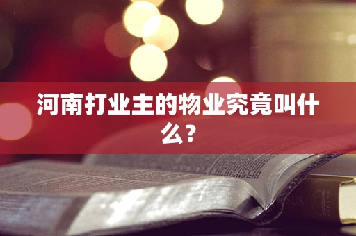 河南打业主的物业究竟叫什么？