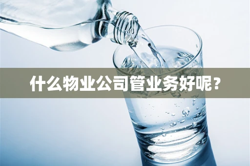 什么物业公司管业务好呢？