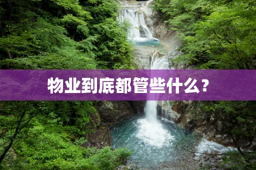 物业到底都管些什么？