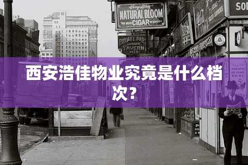 西安浩佳物业究竟是什么档次？