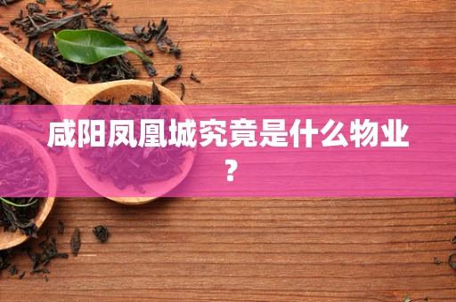 咸阳凤凰城究竟是什么物业？