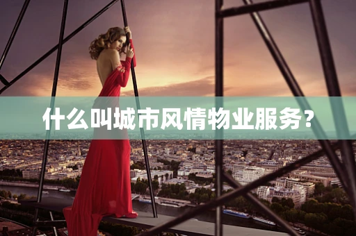 什么叫城市风情物业服务？
