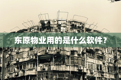 东原物业用的是什么软件？