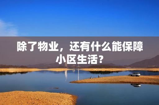 除了物业，还有什么能保障小区生活？
