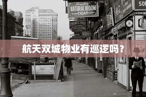 航天双城物业有巡逻吗？