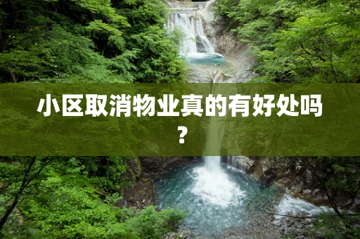 小区取消物业真的有好处吗？
