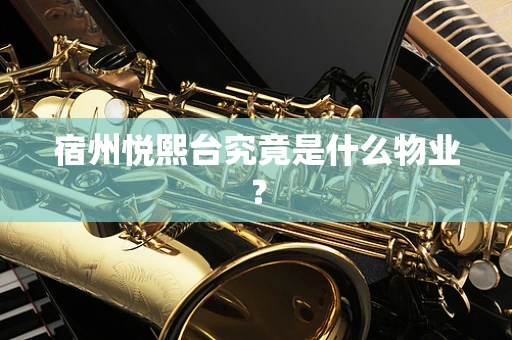 宿州悦熙台究竟是什么物业？