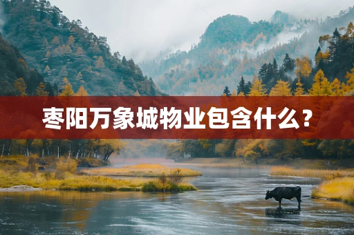 枣阳万象城物业包含什么？