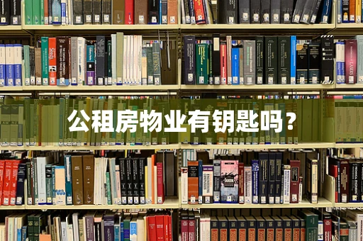 公租房物业有钥匙吗？
