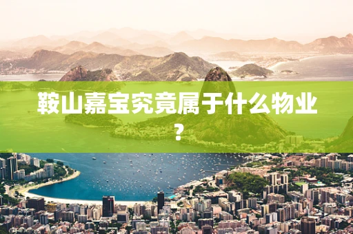 鞍山嘉宝究竟属于什么物业？