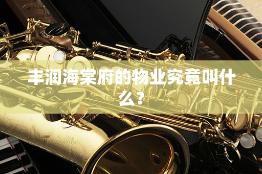 丰润海棠府的物业究竟叫什么？