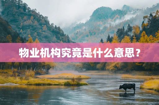 物业机构究竟是什么意思？