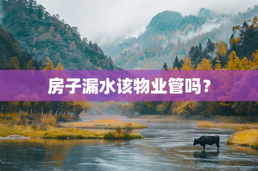 房子漏水该物业管吗？