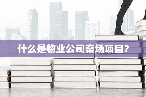 什么是物业公司案场项目？