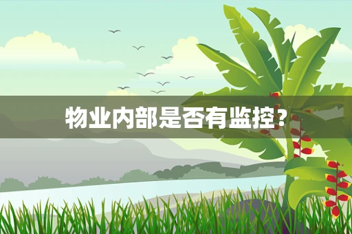 物业内部是否有监控？