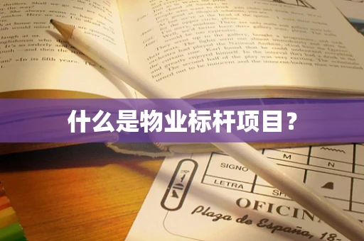什么是物业标杆项目？