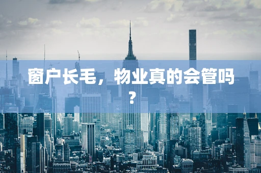 窗户长毛，物业真的会管吗？