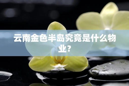 云南金色半岛究竟是什么物业？