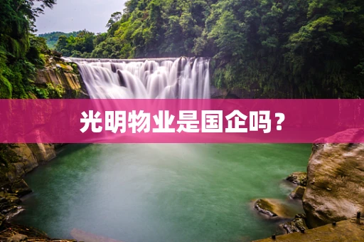 光明物业是国企吗？