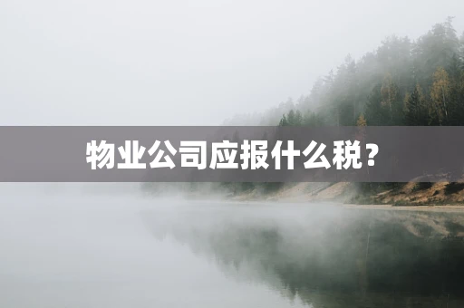 物业公司应报什么税？