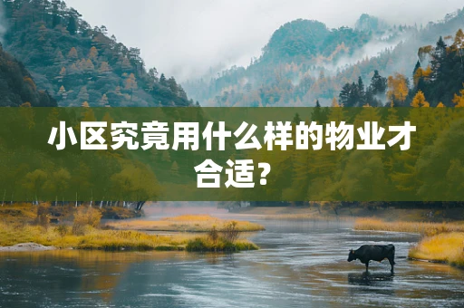 小区究竟用什么样的物业才合适？
